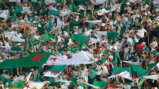 CAMEROUN- ALGERIE : Plusieurs milliers de supporters algériens attendus à Douala